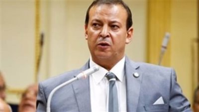  برلمانى : كلمة السيسى بذكري 23 يوليو خارطة طريق لمواجهة التحديات والمخاطر ضد مصر