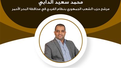 خبرات الاستثمار السياحي..السيرة الذاتية للمرشح محمد الدابي بانتخابات الشيوخ