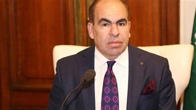 الهضيبي: مشاركة الشباب في انتخابات مجلس الشيوخ هو ضمان حقيقي لتمثيل قوي