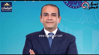  محمد المنزلاوي مرشح مستقبل وطن: الصناعة والإستثمار بأولوياتي فى مجلس الشيوخ