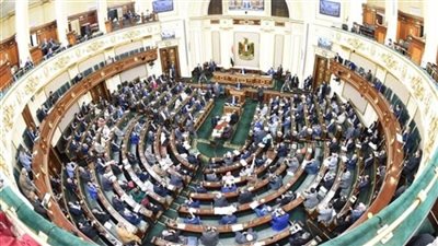 برلماني:مبيعات التجارة الإلكترونية حققت أرقامًا قياسية..وإخضاعها للضرائب أصبح ضرورة