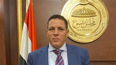 عضو بالشيوخ: تمكين المرأة أولوية لدى القيادة المصرية ومشاركتها فى المناصب الوزارية والقضائية دليل