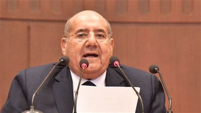 رئيس مجلس الشيوخ يدلي بصوته في المرحلة الثانية لانتخابات النواب