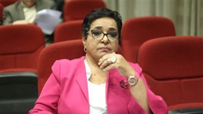 أنيسة حسونة للـبرلمان: الإخوان جماعة واهمة.. ومصر قادرة على إدارة علاقتها مع الولايات المتحدة