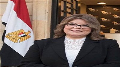 وكيل مجلس الشيوخ: لجنة الصياغة تعرض تقريرها النهائي علي لجنة إعداد اللائحة الثلاثاء