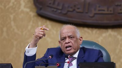 تعرف على سبب صدور قانون الجمارك.. بعد تصديق الرئيس السيسي عليه