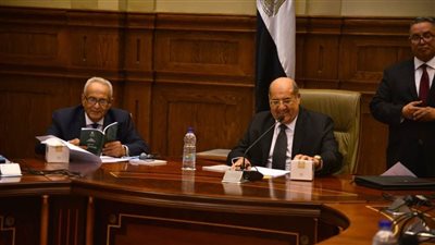 لائحة الشيوخ: المجلس نيابي يشارك في التشريع و يمارس اختصاصاته المقررة له في الدستور