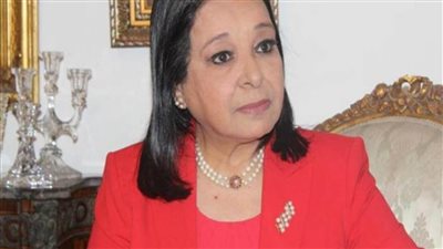 أنيسة حسونة: علاقات مصر الخارجية ممتازة فى عهد الرئيس السيسى.. والتنوع فى التسليح أهم القرارات