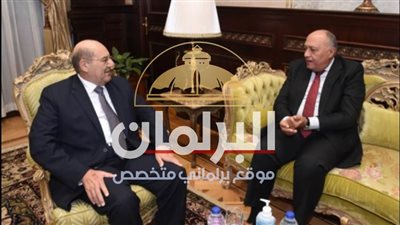 سامح شكري: تواصل مستمر مع أعضاء الشيوخ لرعاية مصالح المصريين بالداخل والخارج