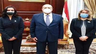 مايا مرسي: ملفات المرأة في أيدٍ أمينة بمجلس الشيوخ