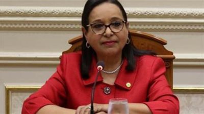 النائبة أنيسة حسونة: نمت بمعنويات مرتفعة بعد كلام انتصار السيسي عن كتابي