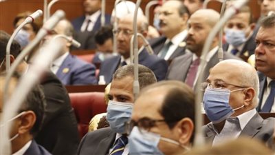 عضو بالشيوخ تتغيب عن إلقاء اليمين الدستورية بالجلسة العامة اليوم