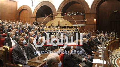 البرلمان ينشر مواد اللجان النوعية الـ14 بعد الموافقة النهائية لمجلس الشيوخ