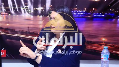 مارسيل سمير خلال ندوة تحيا مصر والبرلمان: المصلحة الوطنية المشترك الأساسى لأعضاء تنسيقية شباب الأحزاب.. ومارثا محروس: التنسيقية حركت المياه الراكدة فى الحياة السياسية
