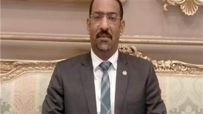 النائب سامح الشيمى: فرنسا متوافقة تماما في وجهات النظر مع مصر فيما يخص قضايا المنطقة وأطماع تركيا