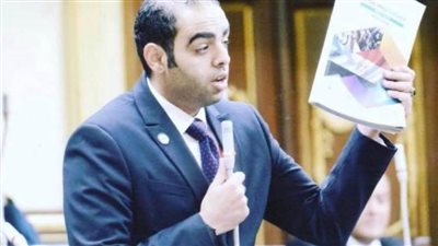 النائب حسن عمر حسنين : مصر حققت في السنوات الماضية طفرة غير مسبوقة في مجال الكهرباء والطاقة المتجددة 