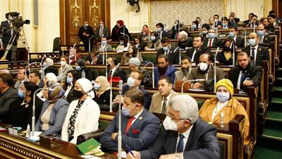 استجواب جديد من بكري في البرلمان بشأن شركة الدلتا للأسمدة ونقلها للسويس