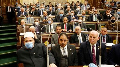 رئيس تعليم النواب يشيد بوزير التعليم العالي ويطالب بمحاسبة رؤساء الجامعات