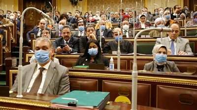 بجلسة البرلمان..النائب حسام المندوه يواجه وزير التعليم العالي بمعاهد بير السلم في مصر