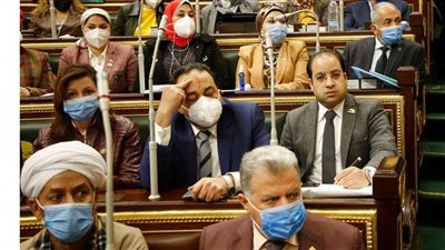 النائب  عبد المنعم إمام: إلغاء مهنة المحاسبين والمحامين قريبا