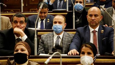 نائب يطالب وزير التعليم العالي  بالإعلان عن معايير اختيار وتعيين المعيدين بالكليات الجامعية