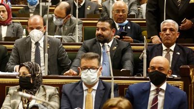 محمد سلطان:  يجب بذل الجهود لتطوير البحث العلمي.. ومصر لديها كوادر بشرية متميزة من الباحثين