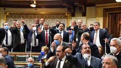 صور.. لحظة طرد النائب عبد العليم داود من قاعة البرلمان..وأميرة أبو شقة تُعلق