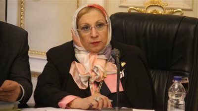 إيناس عبدالحليم : سأقدم تعديل فى قانون الطفل بعد حادث 