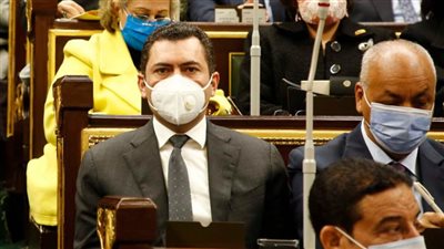 النائب محمد مصطفى السلاب يواجه وزير قطاع الأعمال: 