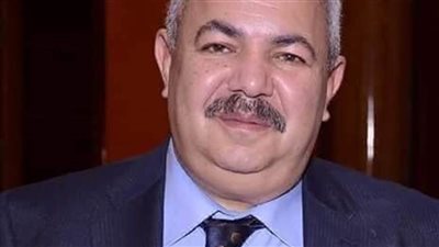 النائب عمرو أبو السعود: قرار البرلمان الأوروبي بشأن مصر مٌسيس وعدائي