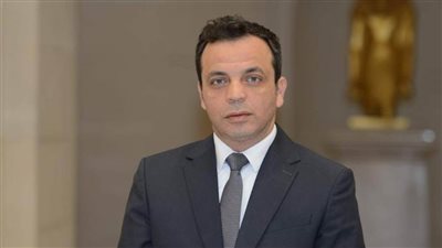 هشام هلال: أداء قصور الثقافة لا ترقى إلى تطلعات القيادة السياسية 