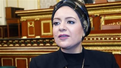 ريهام عبد النبي تطالب بتخفيض أسعار الكهرباء لمحافظة أسوان بسبب شدة الحرارة