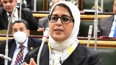 النواب يوافق مبدئيا علي قانون البلازما..وزايد تنفي تصديرها قبل  الإكتفاء الذاتي