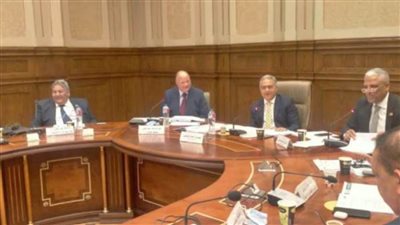 أحمد السجينى ينتصر للصحافة: سلطة رابعة ودورها الوطني بارز.. والبرلمان هو صوت الشعب