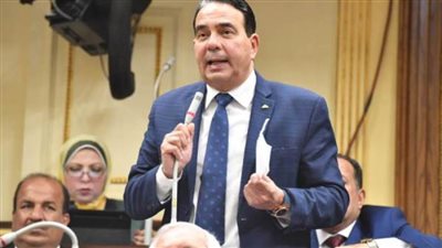 النائب أيمن أبو العلا: 