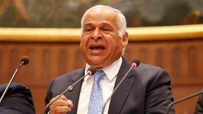 في عهد السيسي.. فرج عامر: تطوير صناعة الحديد والصلب قطار سريع لا يتوقف