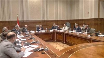 أحمد السجيني: الدولة ورثت مشكلات المحال العامة والتكاتك والتروسيكلات