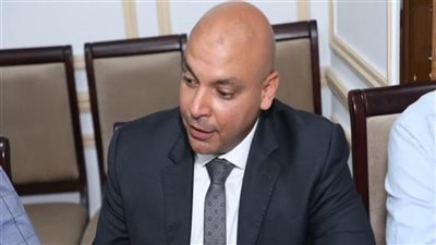 محمود القط مهاجمًا ادعاءات حقوق الإنسان: البيان به معلومات مغلوطة.. ويتم توظيف الملف سياسيًَا