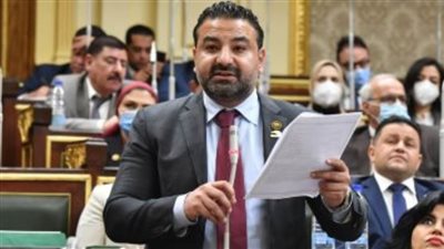 محمد سلطان يجب تضافر الجهود العربية للحصول على حقوق ضحايا الإرهاب ووالملف فى مصر شهد تطورا 