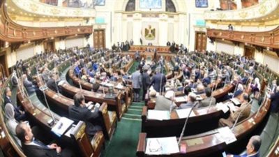 بكلمات ممزوجة بالحب والفخر.. تهنئة خاصة من نواب البرلمان لأمُهات مصر في عيدهم