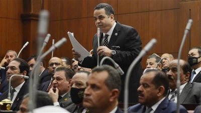 ردع الختان والغش..ماذا حدث في الانطلاقة الحقيقية الأولي لمجلس الشيوخ؟