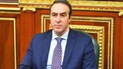 المستشار أحمد مناع ينعي وفاة النائبة فرحة الشناوي