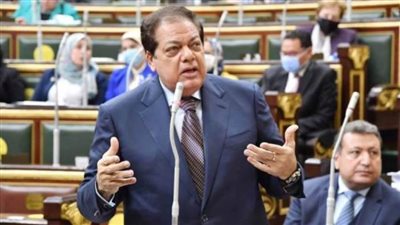 محمد أبو العينين ينعي وفاة البرلمانية فرحة الشناوي