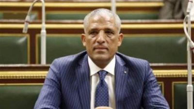 محمد الحسيني: جنوح السفينة البنمية لفت أنظار العالم.. والدولة تعاملت بجدية مع الأزمة