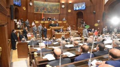 مشروع قانون إنشاء المجلس القومي للسكان والتنمية على طاولة الشيوخ.. الأحد