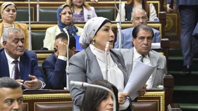 النائبة هالة أبو السعد: مشروع قانون الضمان الاجتماعي يعزز شبكة الأمان للفئات الأكثر احتياجا