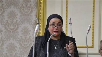 برلمانية : الدولة حريصة علي توفير الضمان الاجتماعى لمواطنيها باعتباره حقاً دستورياً وحقاً اصيلاً لصيقاً بحقوق الإنسان