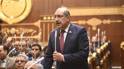 إيهاب وهبة: لا يجب المساواة في التقنين بين الأراضي على النيل والأراضي الصحراوية