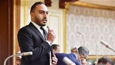 محمد تيسير مطر: تماسك المصريين والوقوف خلف القيادة السياسية بات ضرورة فى ظل المتغيرات الإقليمية