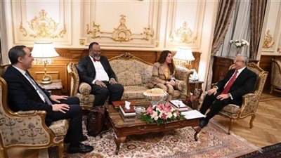 خلال لقائه بالسفيرة الأمريكية.. جبالي يشدد على أهمية العلاقات الاستراتيجية بين البلدين لتحقيق الأمن والاستقرار الإقليمي